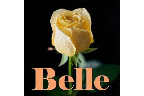 2nd Single 「Belle」 5月11日配信リリース決定！